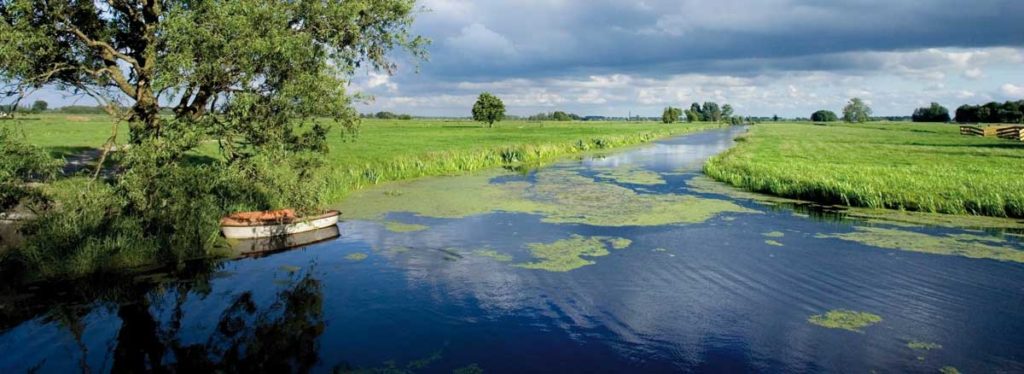 Bodemdaling in de Polder