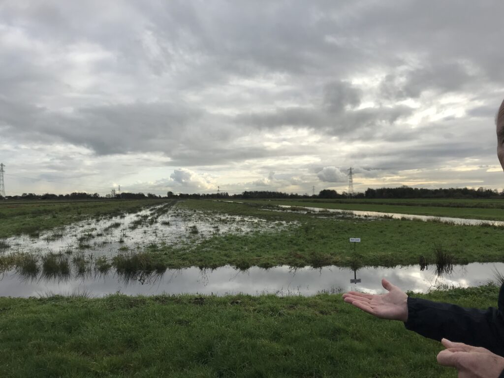 Bodemdaling in de Polder