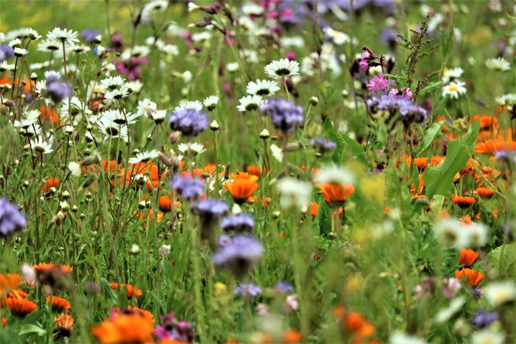 Fermenteren voor gezonde landbouw