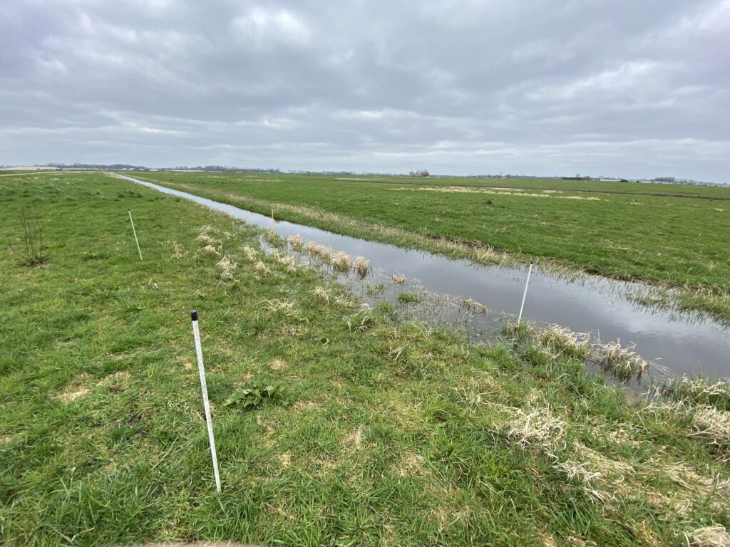 Biodiversiteit op de Boerderij